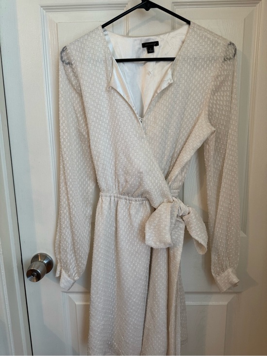 Ann Taylor Dresses & Skirts - Ann Taylor creamy white textured Swiss dot with sheer long sleeves dress (SZ 2)